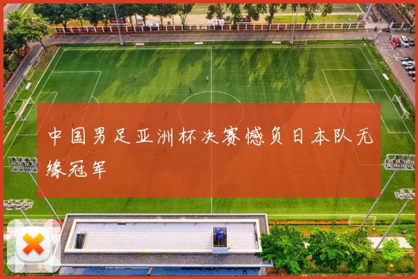 中国男足亚洲杯决赛憾负日本队无缘冠军