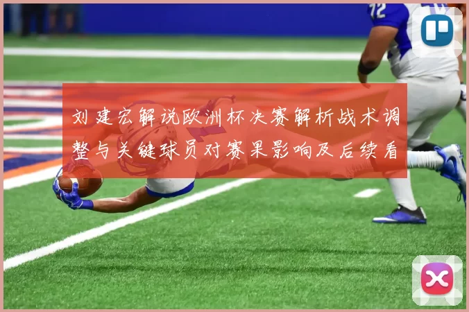 刘建宏解说欧洲杯决赛解析战术调整与关键球员对赛果影响及后续看点