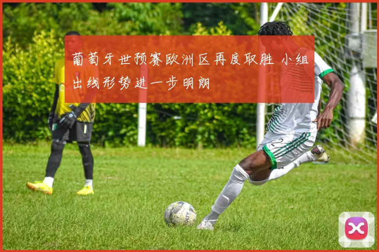 葡萄牙世预赛欧洲区再度取胜 小组出线形势进一步明朗