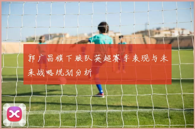 郭广昌旗下狼队英超赛季表现与未来战略规划分析